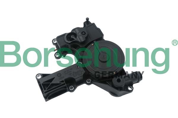 Borsehung B18479 Oil Separator, crankcase ventilation