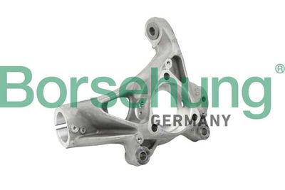 Steering Knuckle, wheel suspension Borsehung B18510
