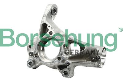 Steering Knuckle, wheel suspension Borsehung B18511