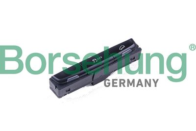 Multi-Function Switch Borsehung B18589