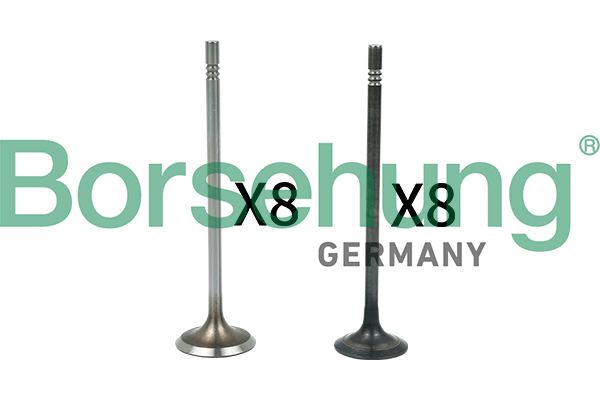 Borsehung B18631 Valve Kit, intake/exhaust valve