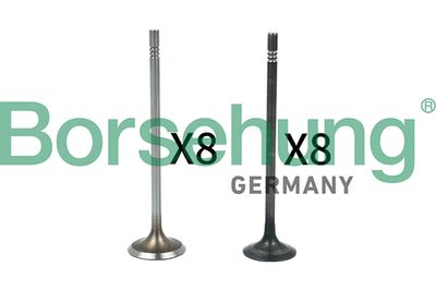 Valve Kit, intake/exhaust valve Borsehung B18631