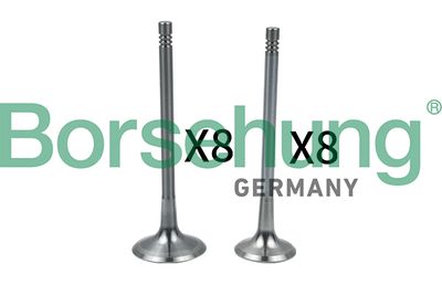 Intake Valve Borsehung B18634