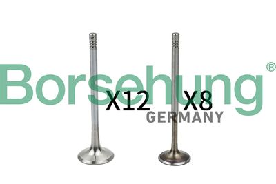 Valve Kit, intake/exhaust valve Borsehung B18635
