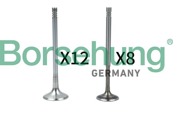 Borsehung B18636 Valve Kit, intake/exhaust valve