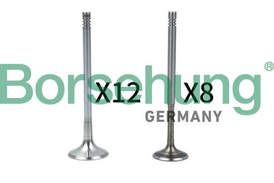 Valve Kit, intake/exhaust valve Borsehung B18636