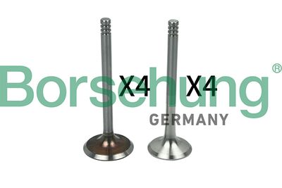 Valve Kit, intake/exhaust valve Borsehung B18641