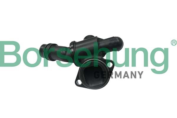 Borsehung B18688 Thermostat, coolant