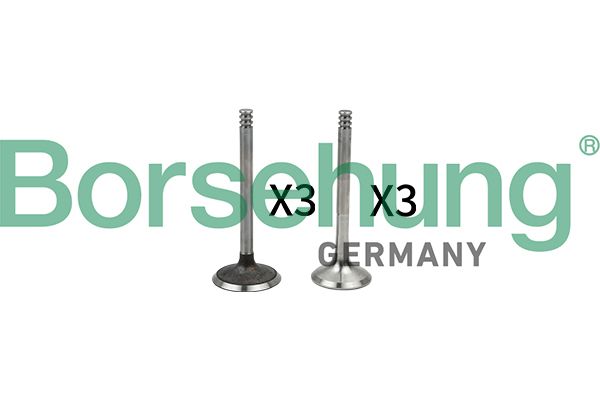 Borsehung B18765 Valve Kit, intake/exhaust valve