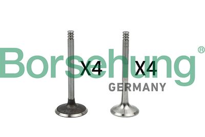 Valve Kit, intake/exhaust valve Borsehung B18766