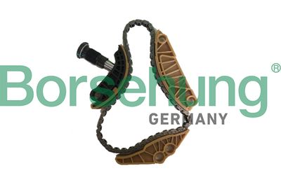 Chain Kit, oil pump drive Borsehung B18779