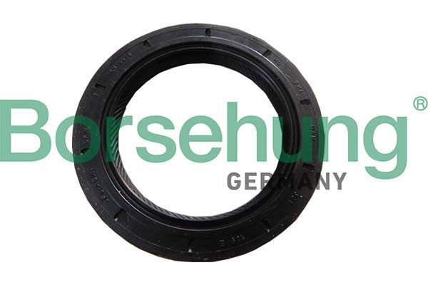 Borsehung B18791 Shaft Seal, manual transmission flange