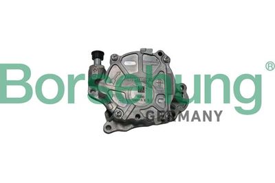 Vacuum Pump, braking system Borsehung B18799
