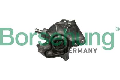 Vacuum Pump, braking system Borsehung B18801