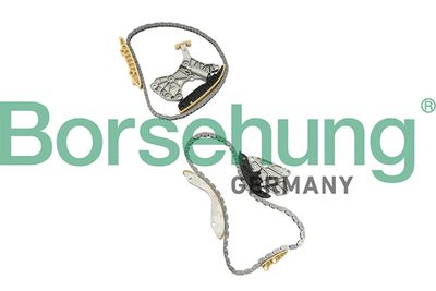 Timing Chain Kit Borsehung B18845