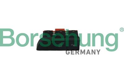 Multi-Function Switch Borsehung B18898