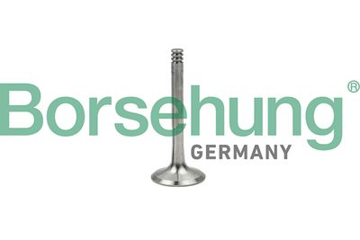 Exhaust Valve Borsehung B18997