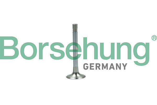 Borsehung B19003 Exhaust Valve