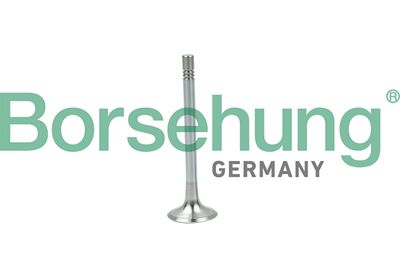 Exhaust Valve Borsehung B19004