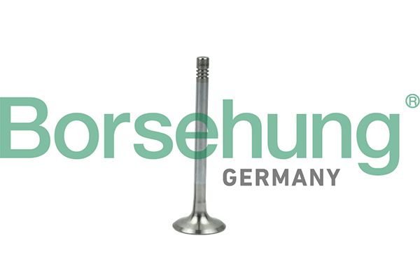 Borsehung B19005 Exhaust Valve