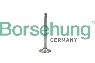 Exhaust Valve Borsehung B19005