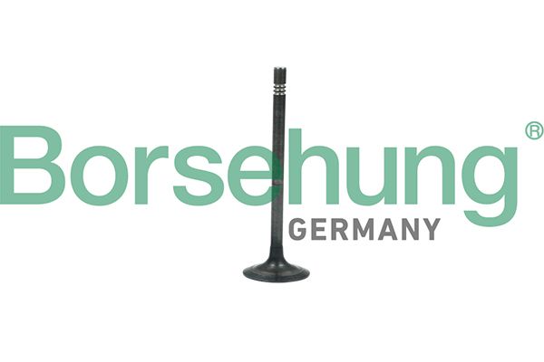 Borsehung B19006 Exhaust Valve