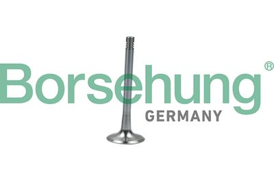 Exhaust Valve Borsehung B19008
