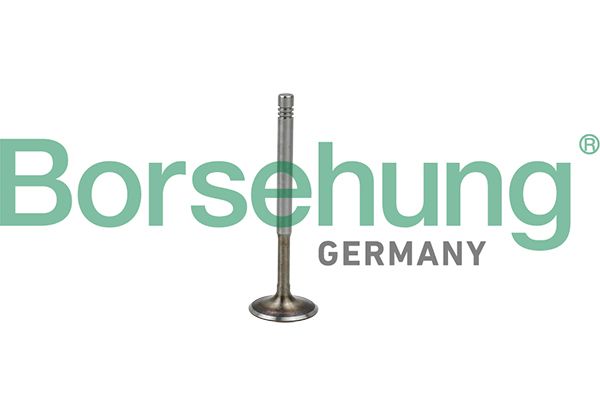 Borsehung B19009 Exhaust Valve