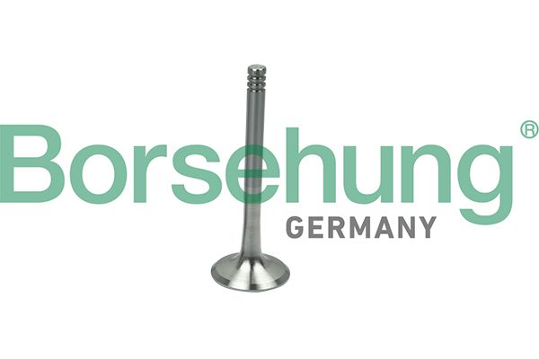 Borsehung B19013 Exhaust Valve