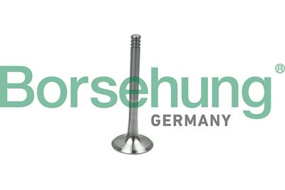 Exhaust Valve Borsehung B19013