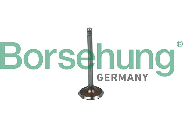 Borsehung B19016 Intake Valve