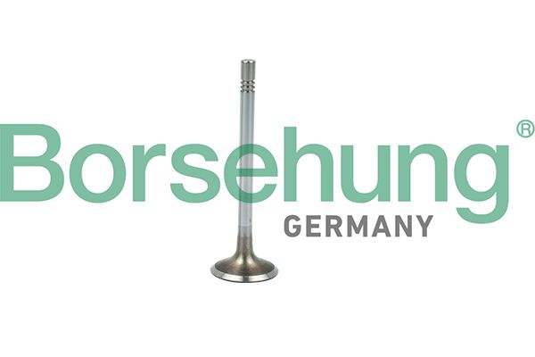Borsehung B19021 Intake Valve