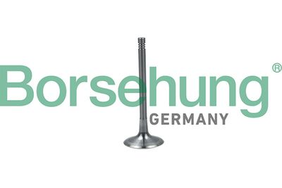 Intake Valve Borsehung B19024