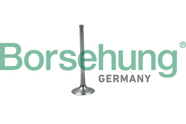 Borsehung B19026 Intake Valve