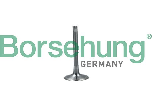 Borsehung B19028 Intake Valve