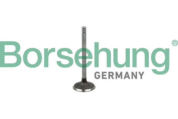 Borsehung B19029 Intake Valve