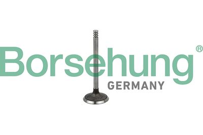 Intake Valve Borsehung B19029