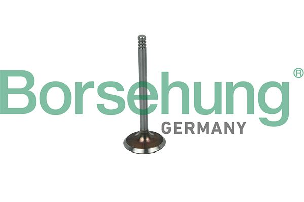 Borsehung B19030 Intake Valve