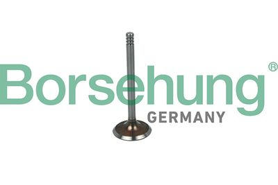 Intake Valve Borsehung B19030