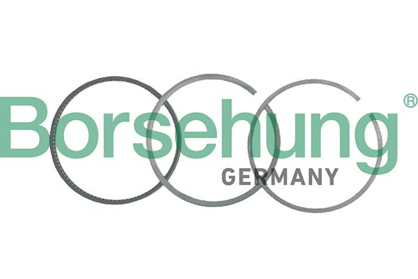 Borsehung B19039 Piston Ring Kit