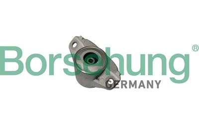 Suspension Strut Support Mount Borsehung B19062