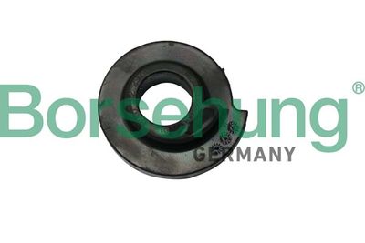Suspension Strut Support Mount Borsehung B19069