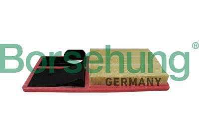 Air Filter Borsehung B19096