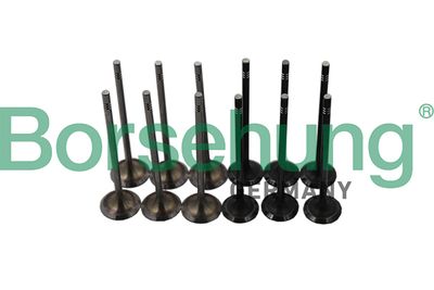 Valve Kit, intake/exhaust valve Borsehung B19160