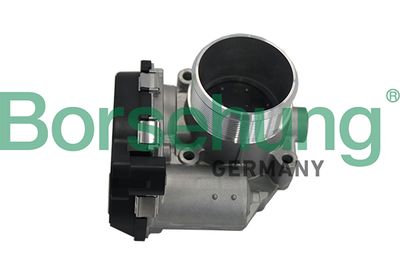 Throttle Body Borsehung B19171