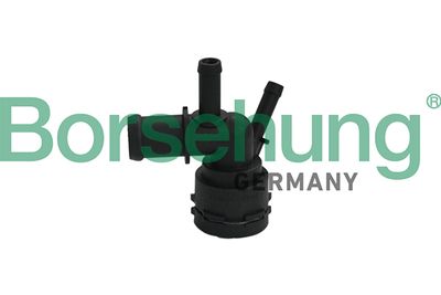 Coolant Flange Borsehung B19181