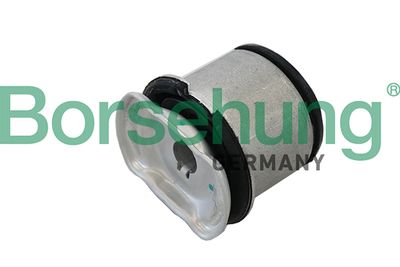 Bushing, axle beam Borsehung B19198