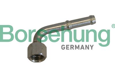 Coolant Pipe Borsehung B19214