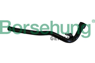 Coolant Pipe Borsehung B19220