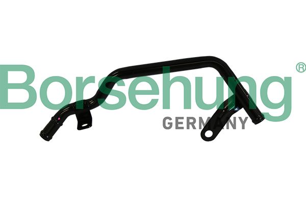 Borsehung B19222 Coolant Pipe